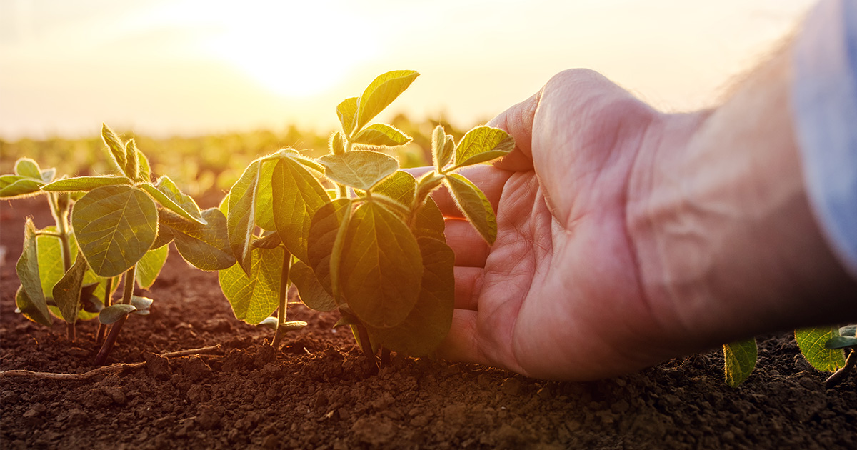 Giornata dell’orgoglio degli Agronomi: a Palermo targhe celebrative per i “veterani”