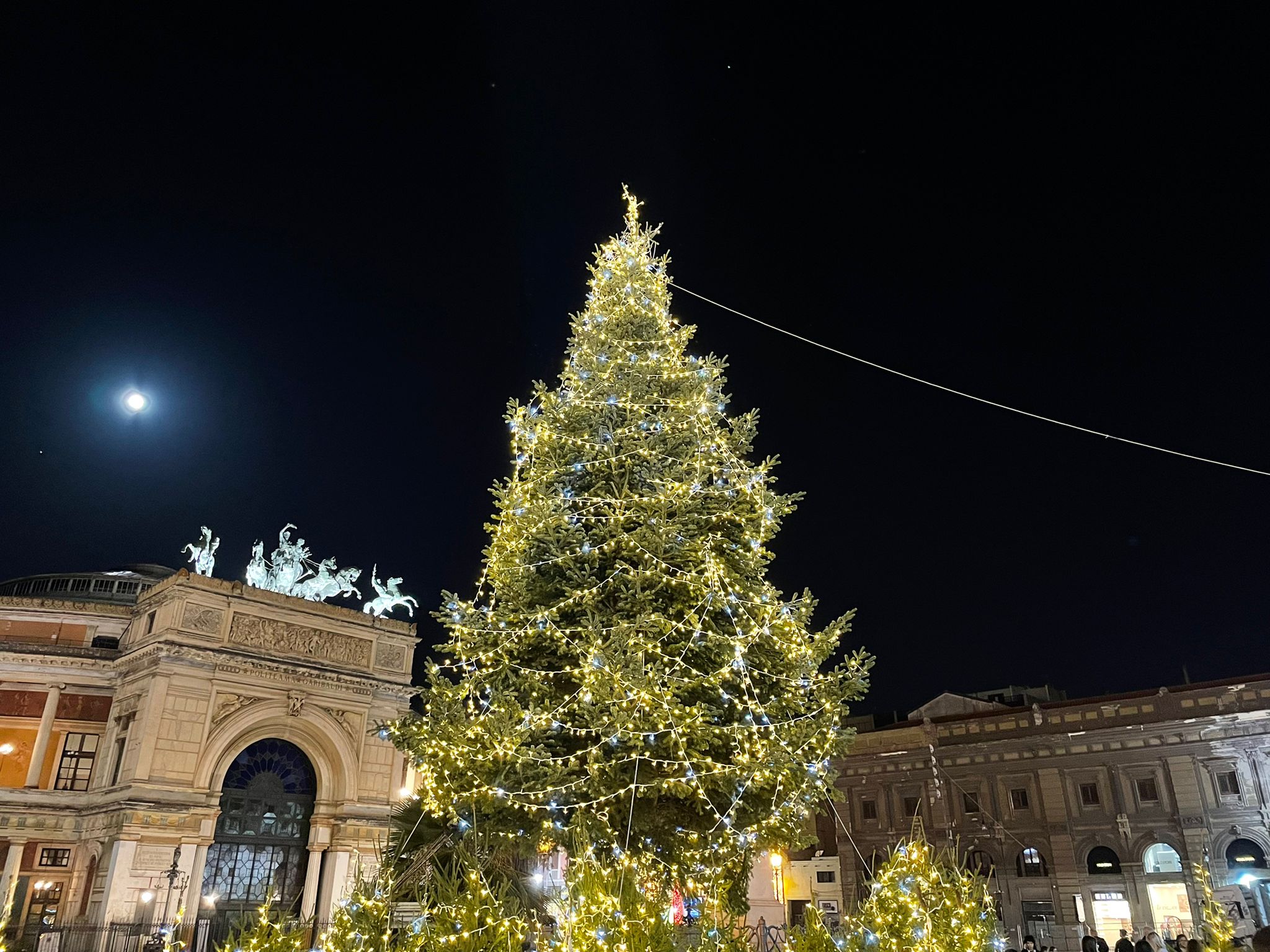 Palermo, si accende l’albero di Natale in piazza  Politeama