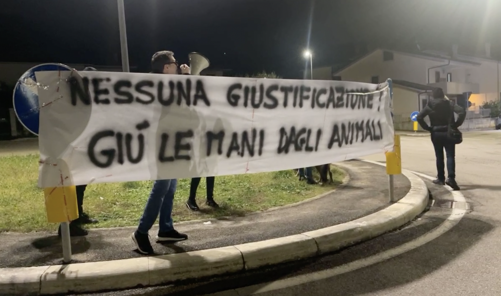 Gatti presi a calci come palloni, rissa sfiorata dopo il video choc: arrivano i carabinieri