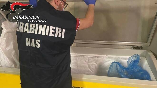 Nella cucina sporca c’è anche un topo morto: chiusa un’attività a Pisa