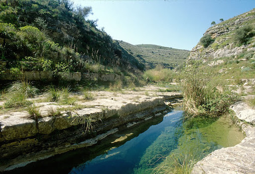 Vittoria, lavorare in sinergia per il futuro dell’ipparino