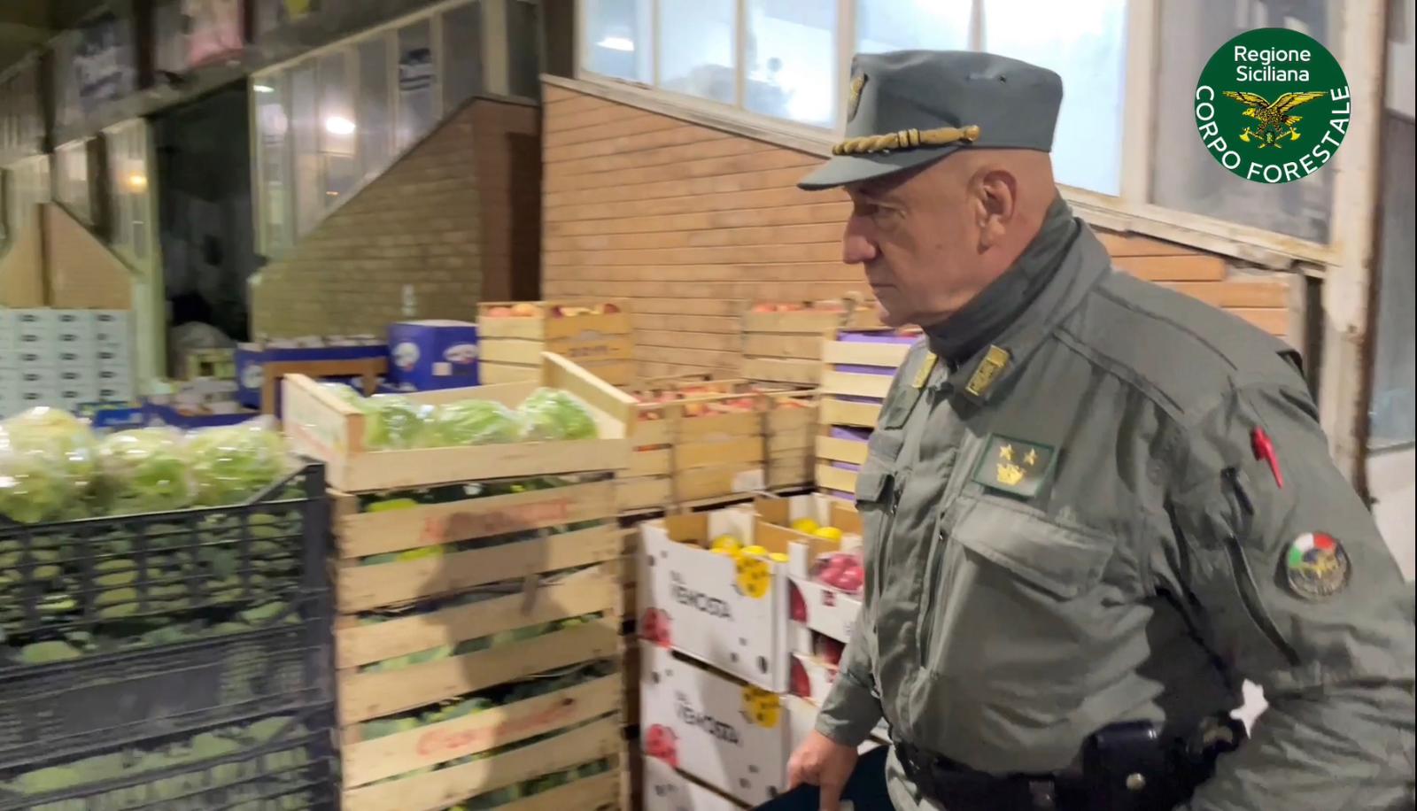 Caltanissetta, controlli del Corpo forestale al mercato ortofrutticolo: sanzioni per 9mila euro