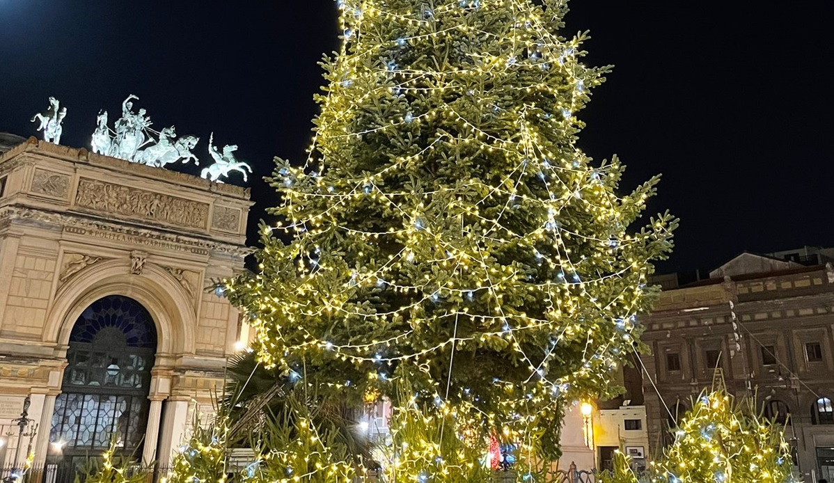 Palermo, si accende l’albero di Natale in piazza  Politeama