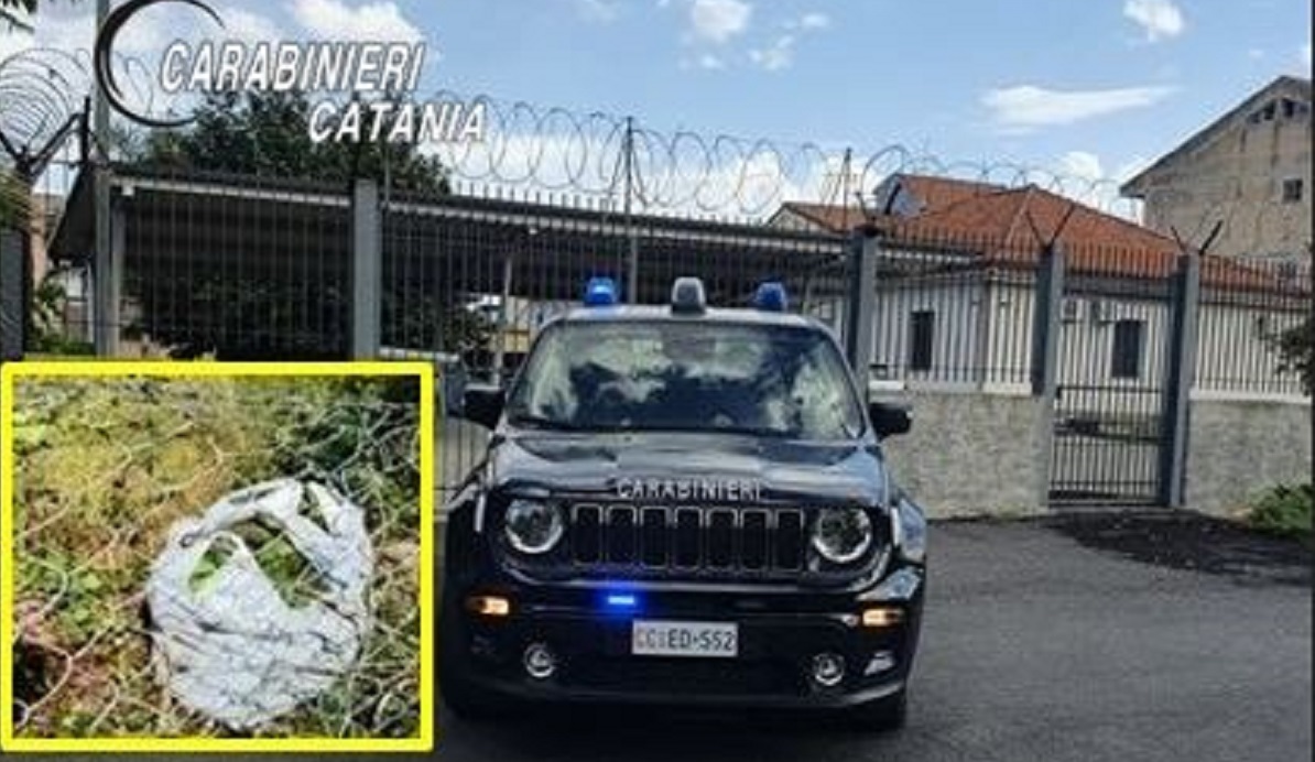 Furto nelle campagne del Catanese, rubati 30 chili di avocado: 2 arresti