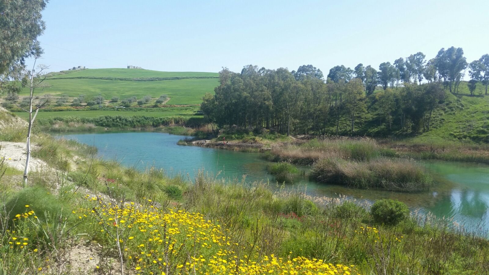 Caltanissetta, salvaguardia dell’ambiente vertice tra Wwf e Prefettura