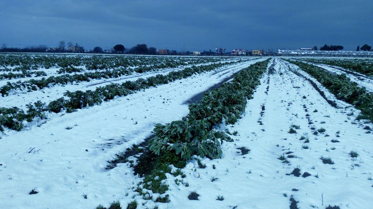 Giorni della merla, quali sono i giorni più freddi dell’anno: significato, leggende e tradizioni