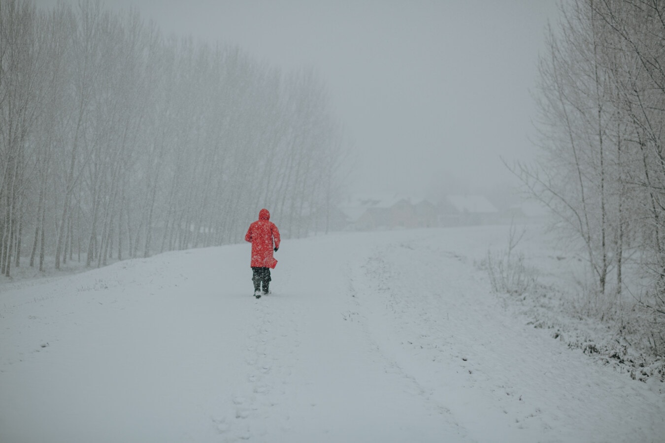 Giorni della merla, quali sono i giorni più freddi dell’anno: significato, leggende e tradizioni
