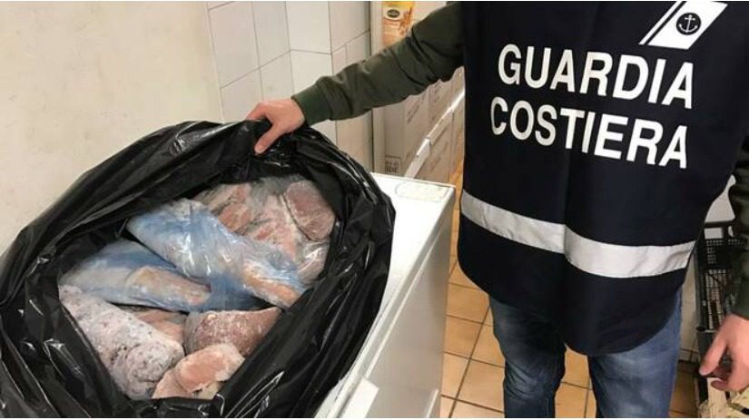 Maxi operazione contro pesca illegale: sanzioni e sequestri per 13 tonnellate