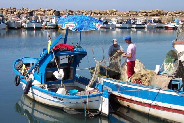 Pesca, in Sicilia finanziate 303 imprese per ridurre le “catture indesiderate”