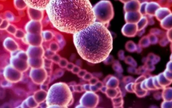 Incubo streptococco, nove bambini morti per infezione