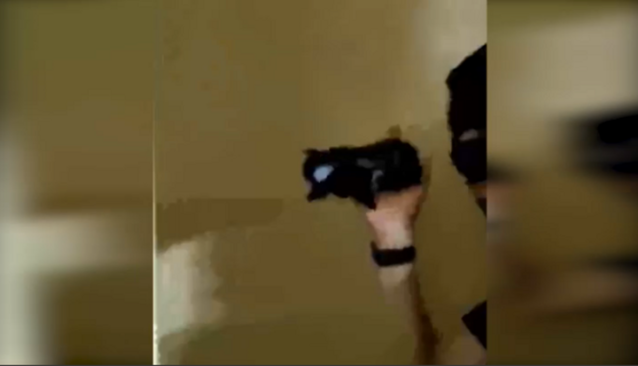 Dentro il bunker di Matteo Messina Denaro: le immagini della stanza segreta del boss – Foto e Video Dentro il bunker di Matteo Messina Denaro: le immagini della stanza segreta del boss – Foto e Video