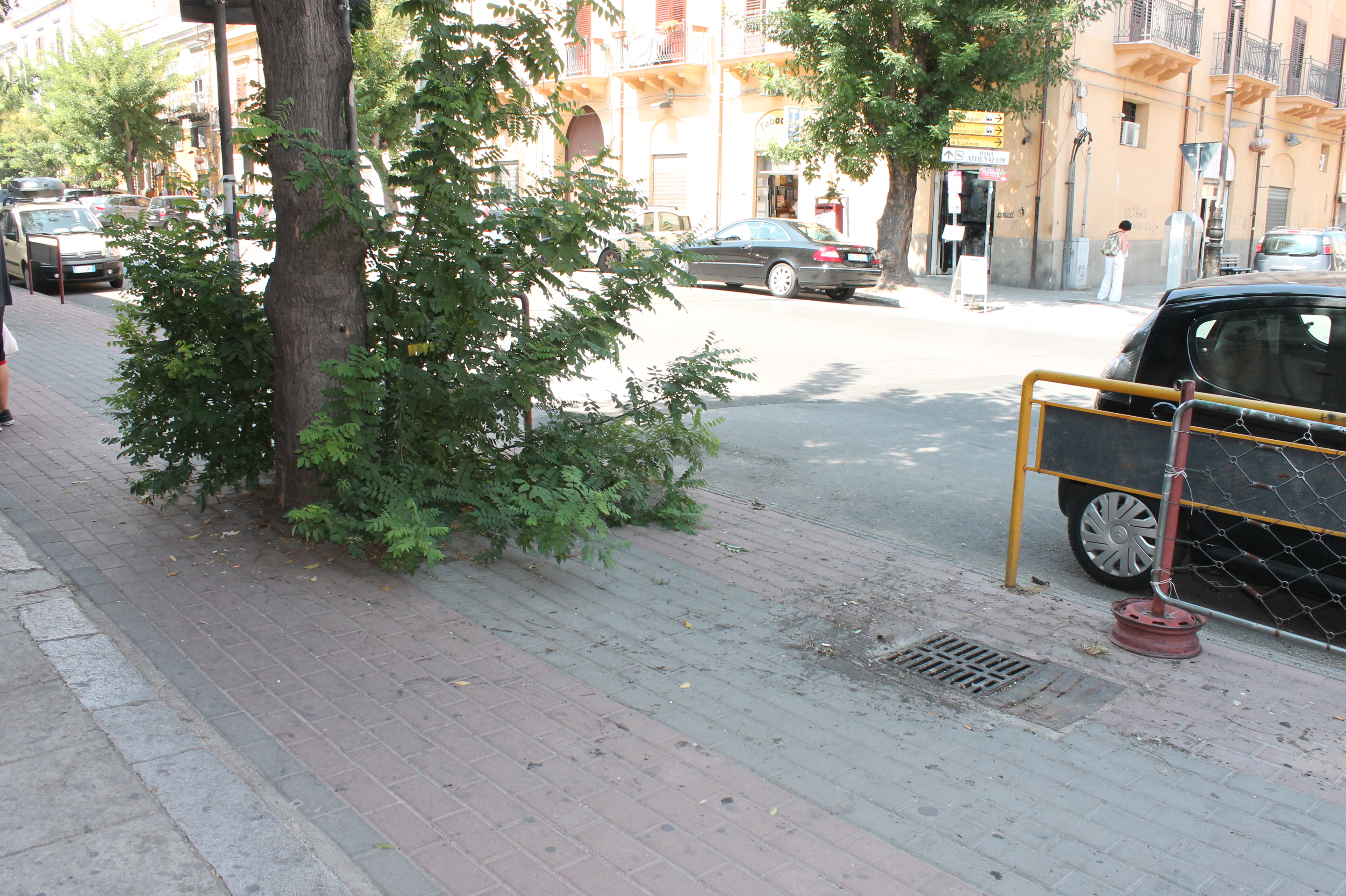 Palermo, mobilità dolce e ciclabili: testa bassa e pedalare