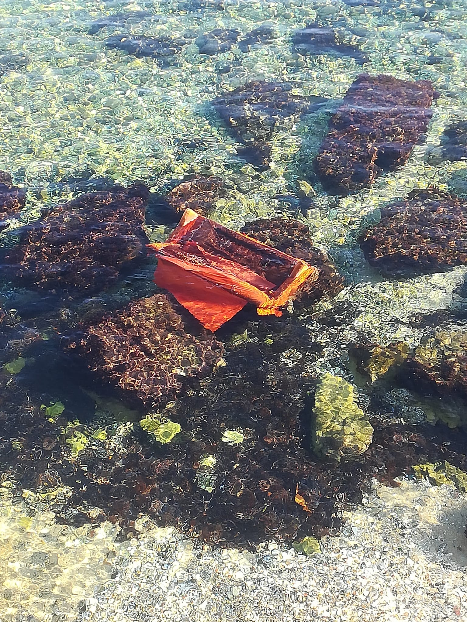 Degrado a Siracusa: divano gettato in mare nel lungomare di Levante