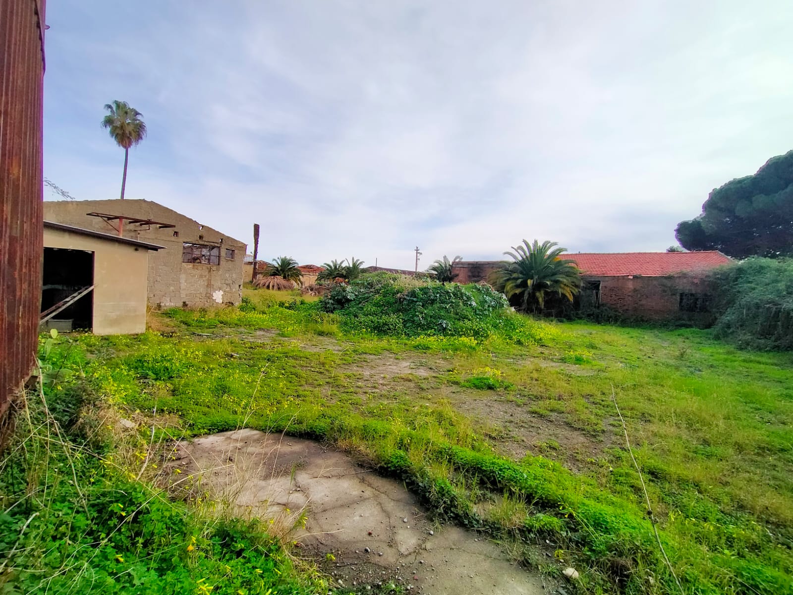 Ex Sanderson, da gloriosa azienda a “campo di veleni” a cielo aperto – FOTO