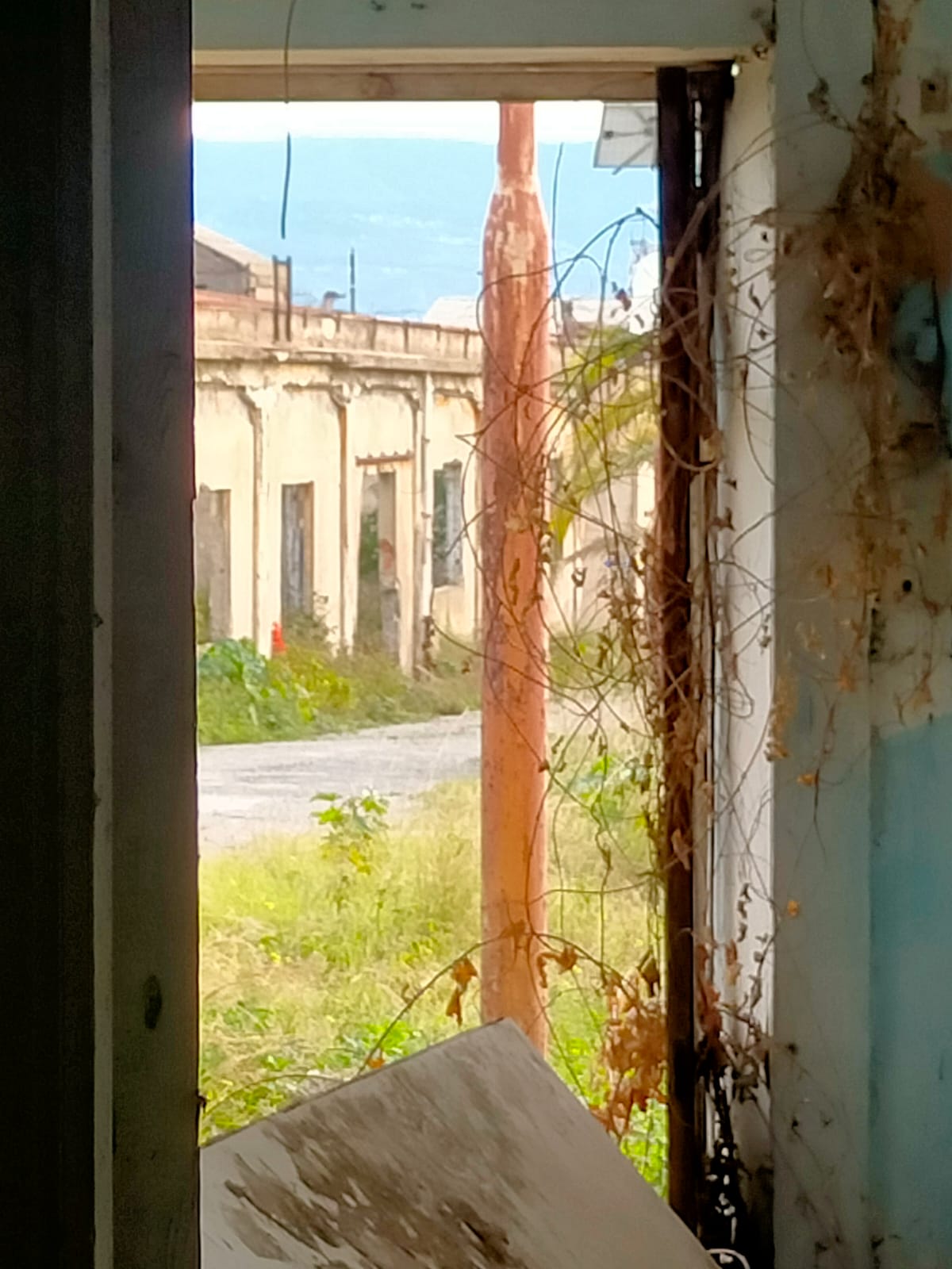 Ex Sanderson, da gloriosa azienda a “campo di veleni” a cielo aperto – FOTO