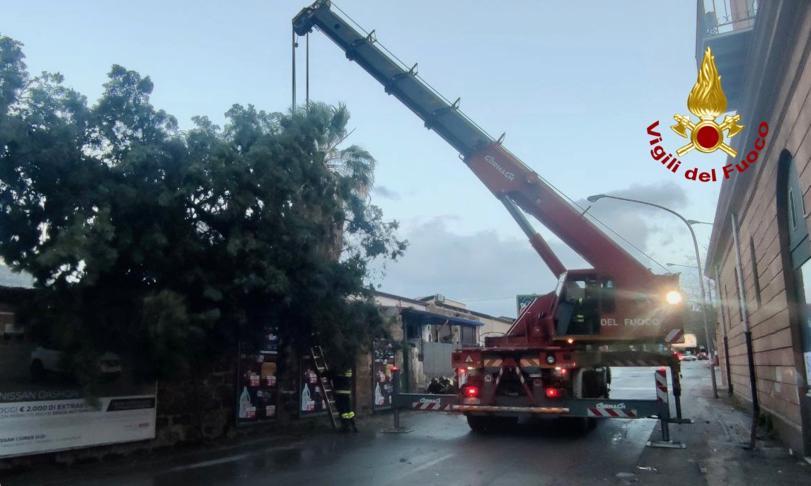 In Sicilia tornano freddo, piogge e maltempo: il risveglio di Palermo dopo i temporali – FOTO