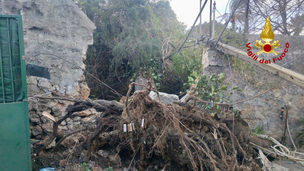 In Sicilia tornano freddo, piogge e maltempo: il risveglio di Palermo dopo i temporali – FOTO