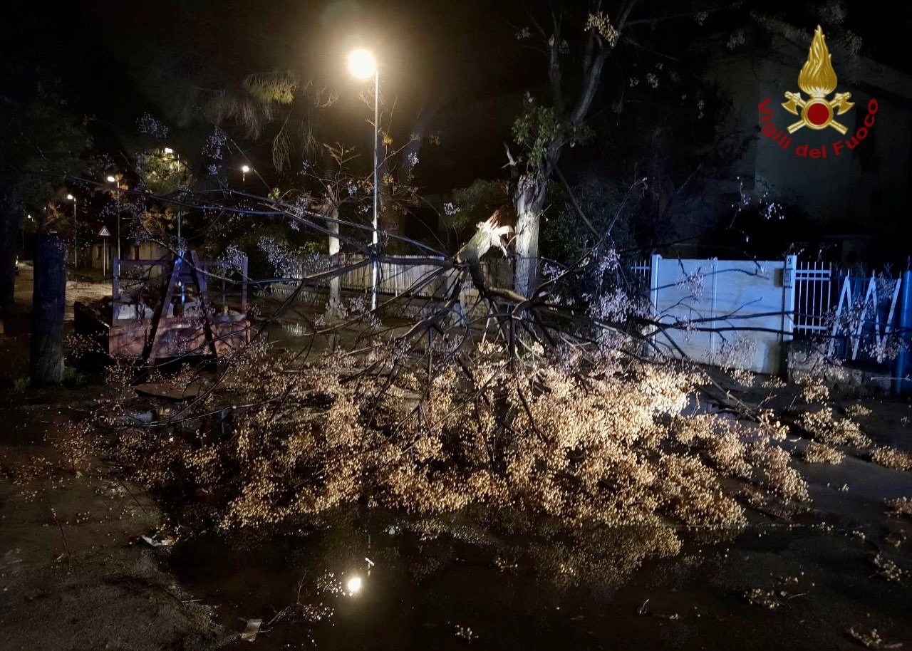 In Sicilia tornano freddo, piogge e maltempo: il risveglio di Palermo dopo i temporali – FOTO