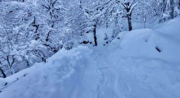 Cade durante l’escursione e chiama i genitori: “Aiutatemi, mi sono perso”, 15enne trovato morto