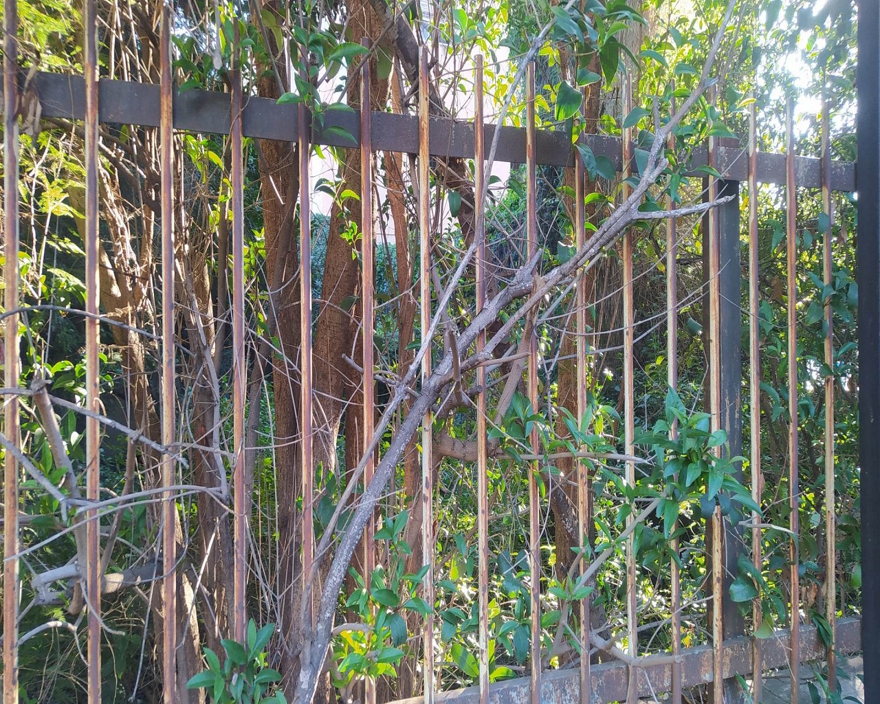 Palazzo Bernini, simbolo del degrado a Catania: per quanto tempo ancora? Le Foto