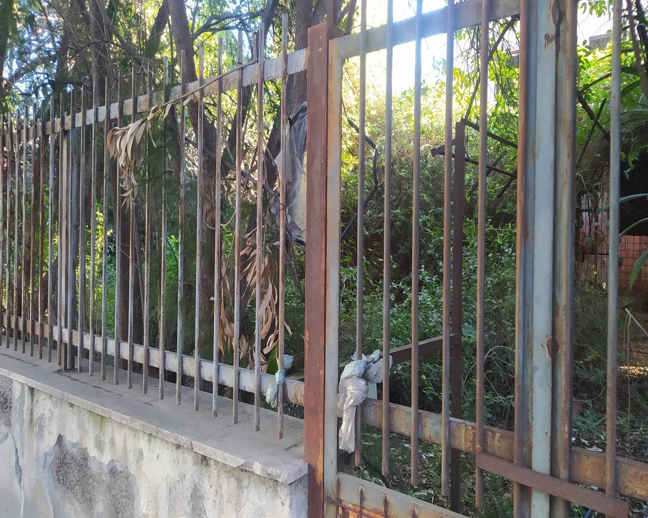 Palazzo Bernini, simbolo del degrado a Catania: per quanto tempo ancora? Le Foto