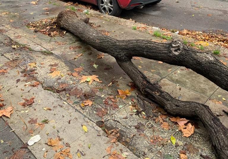 In Sicilia tornano freddo, piogge e maltempo: il risveglio di Palermo dopo i temporali – FOTO