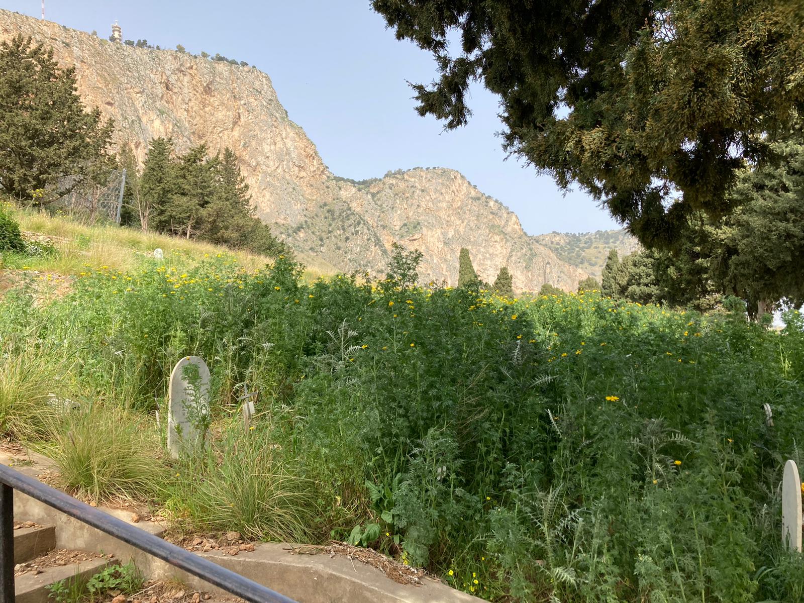 Palermo, Lagalla su cimiteri: “Entro 2023 cesseremo emergenza, intanto turn over”