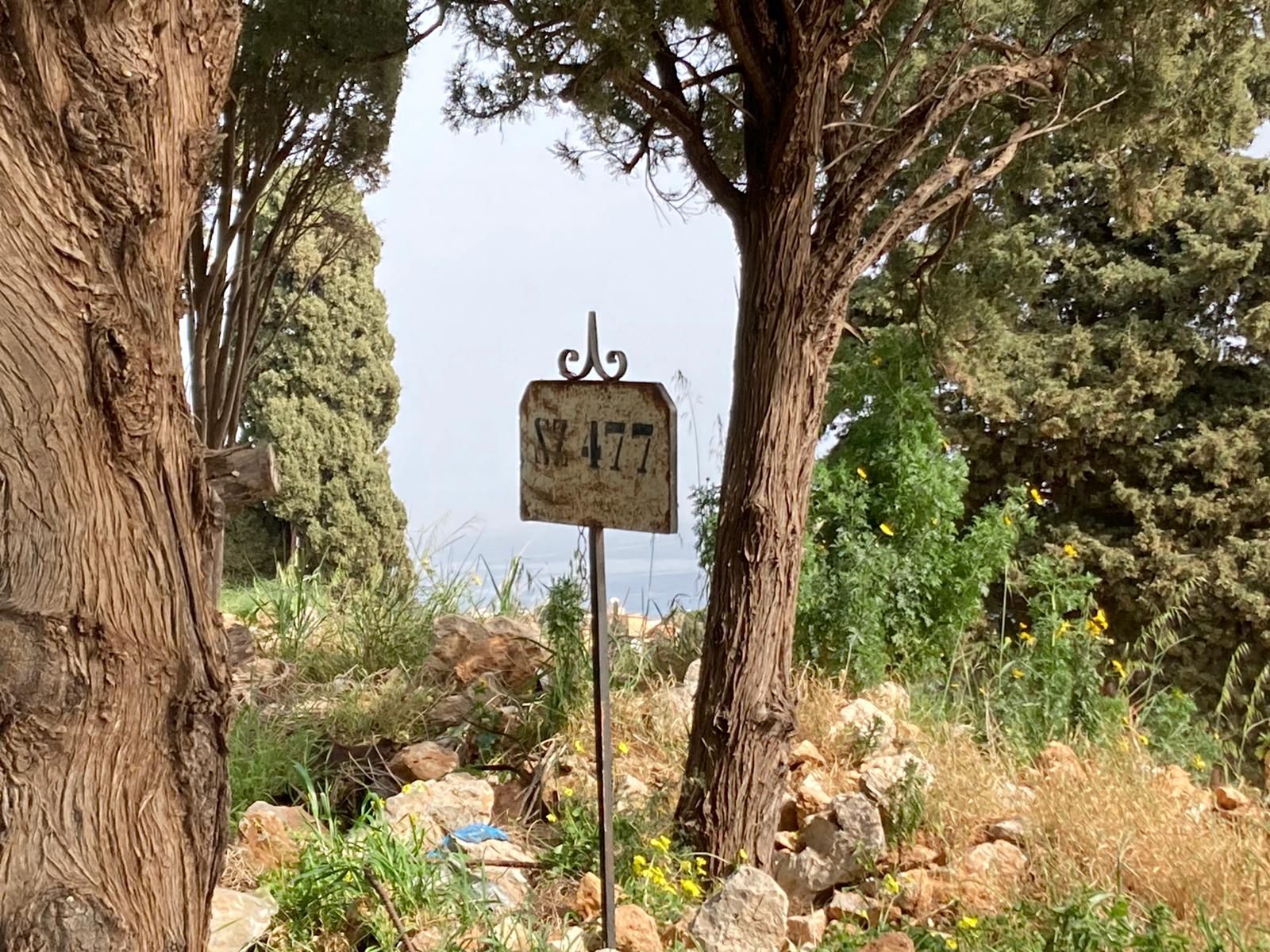 Palermo, Lagalla su cimiteri: “Entro 2023 cesseremo emergenza, intanto turn over”