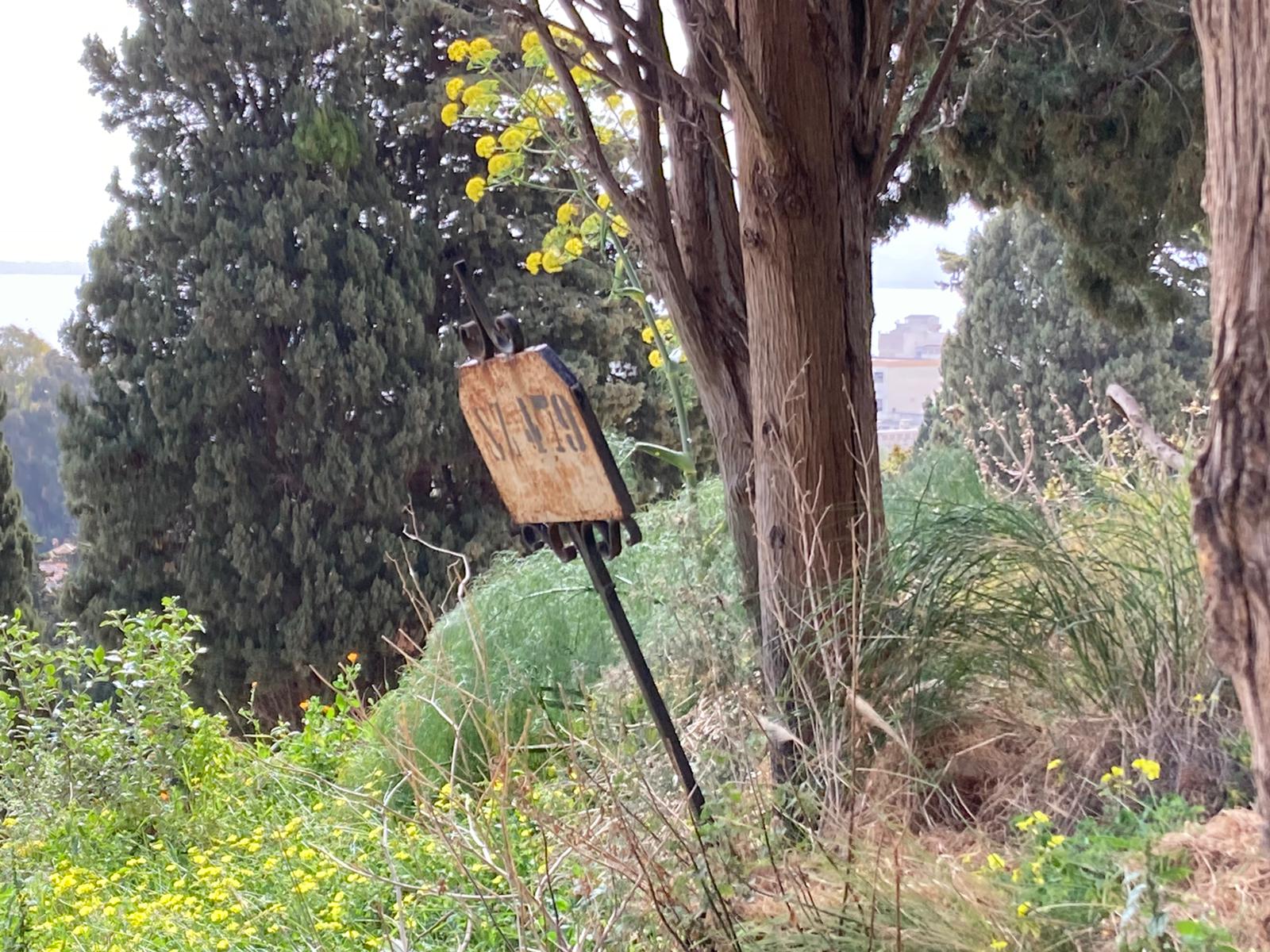 Palermo, Lagalla su cimiteri: “Entro 2023 cesseremo emergenza, intanto turn over”