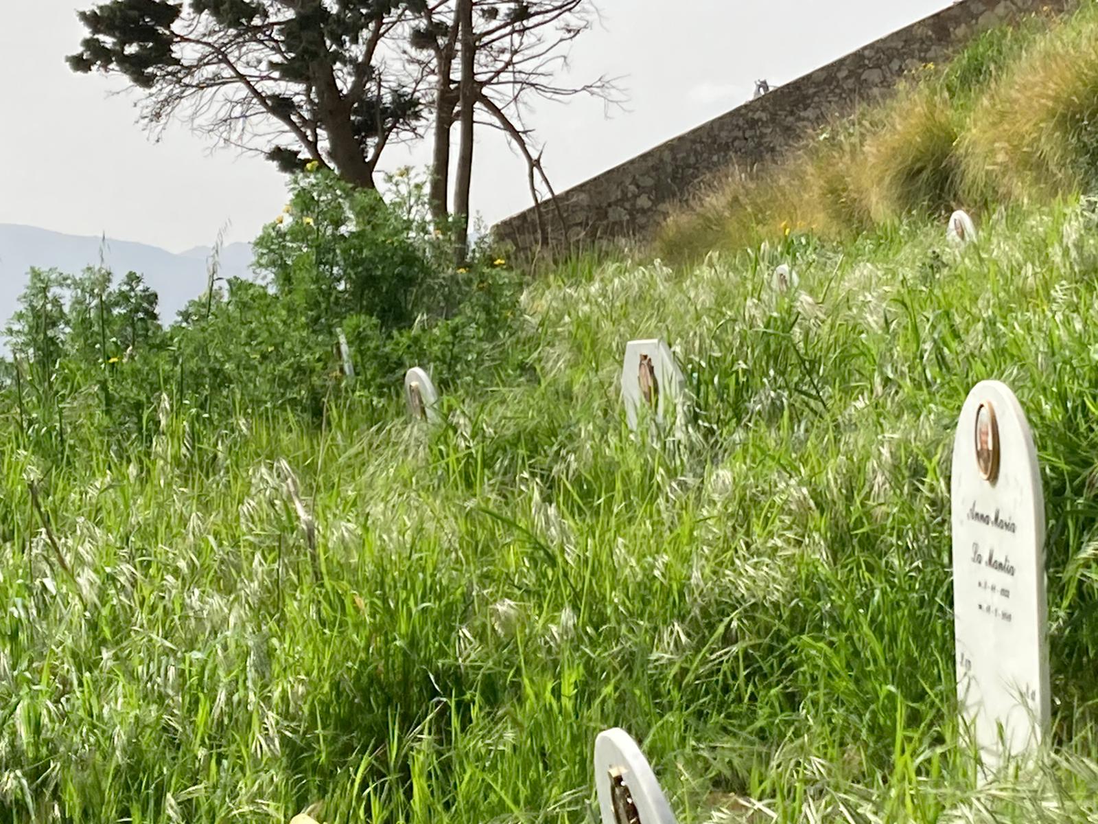 Palermo, Lagalla su cimiteri: “Entro 2023 cesseremo emergenza, intanto turn over”