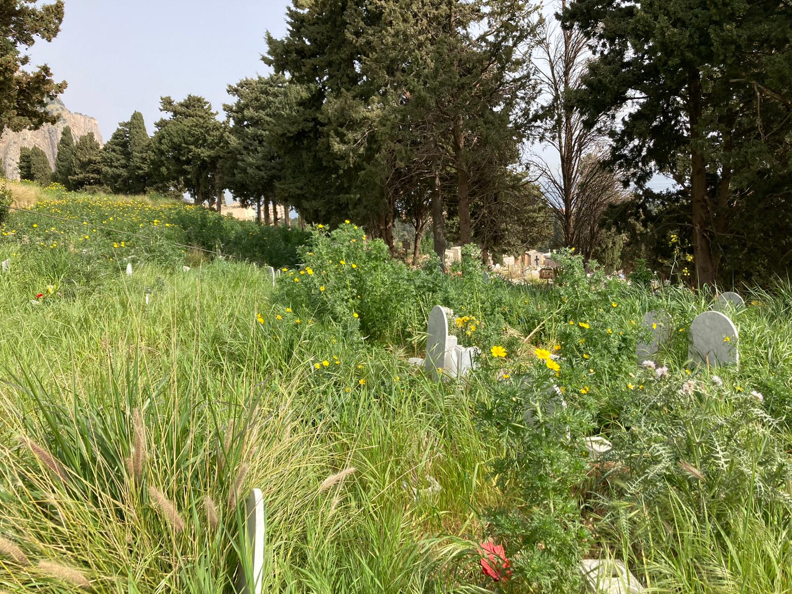 Palermo, Lagalla su cimiteri: “Entro 2023 cesseremo emergenza, intanto turn over”