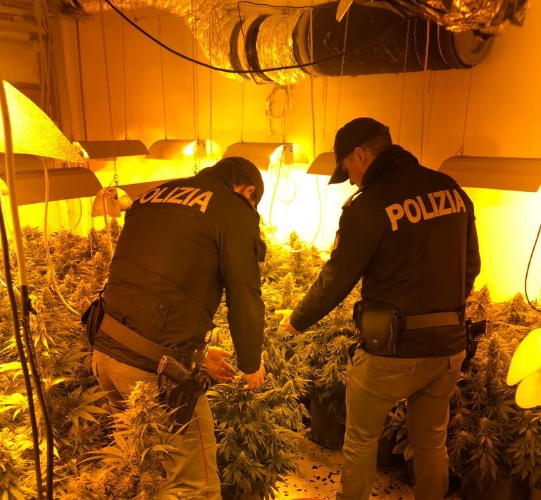 Palermo, coltivava marijuana a casa: arrestato 30enne