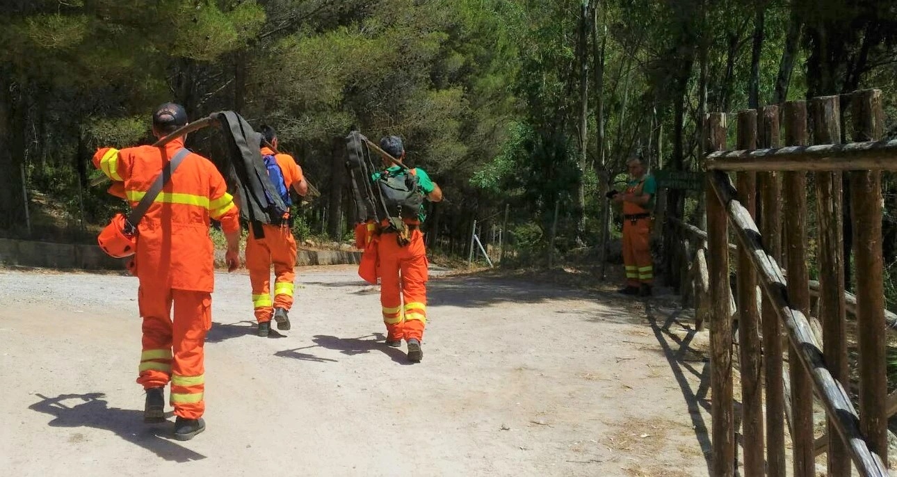 Forestali, dalla Cassazione “bomba” sulla Regione: ogni operaio precario può chiedere il risarcimento