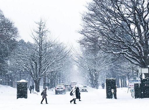 Giorni della merla, quali sono i giorni più freddi dell’anno: significato, leggende e tradizioni