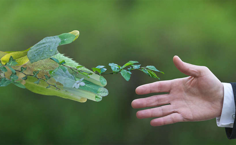 Il futuro è green: i consigli per un 2023 più sostenibile