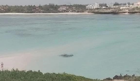 Barca si ribalta in Kenya, 6 dispersi: salvi gli italiani a bordo