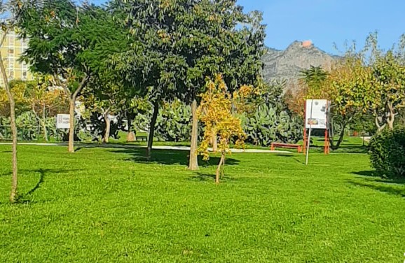 Palermo: al Parco Uditore vietato l’utilizzo di coriandoli e spray, la direzione: “Vigileremo” Palermo: al Parco Uditore vietato l’utilizzo di coriandoli e spray, la direzione: “Vigileremo”
