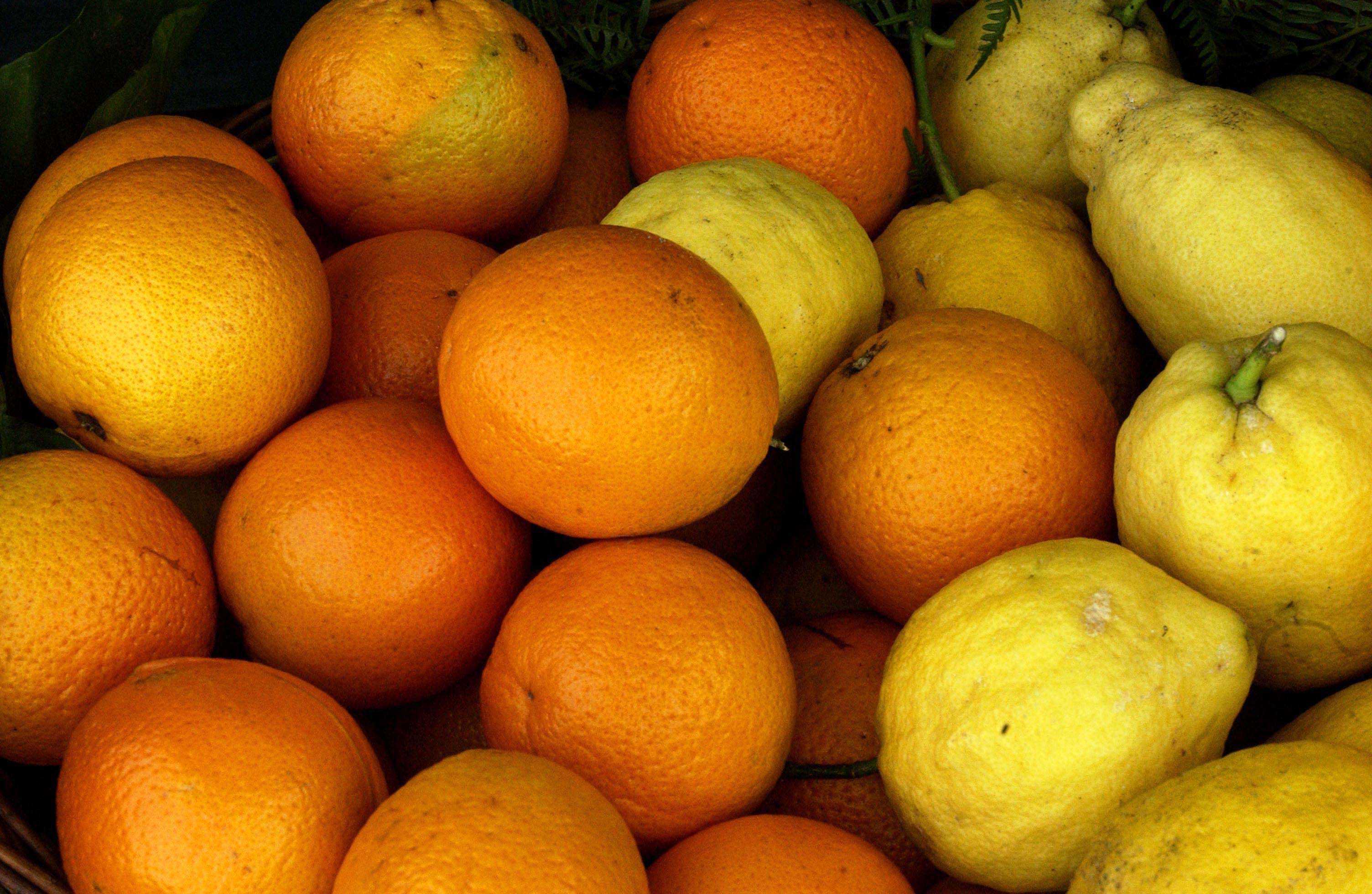 Pascoli, agrumi e seminativi trainano l’agricoltura siciliana