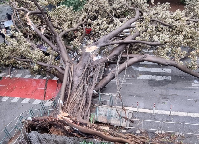 Dal vento incessante agli allagamenti, Sicilia “devastata” dal maltempo – FOTO