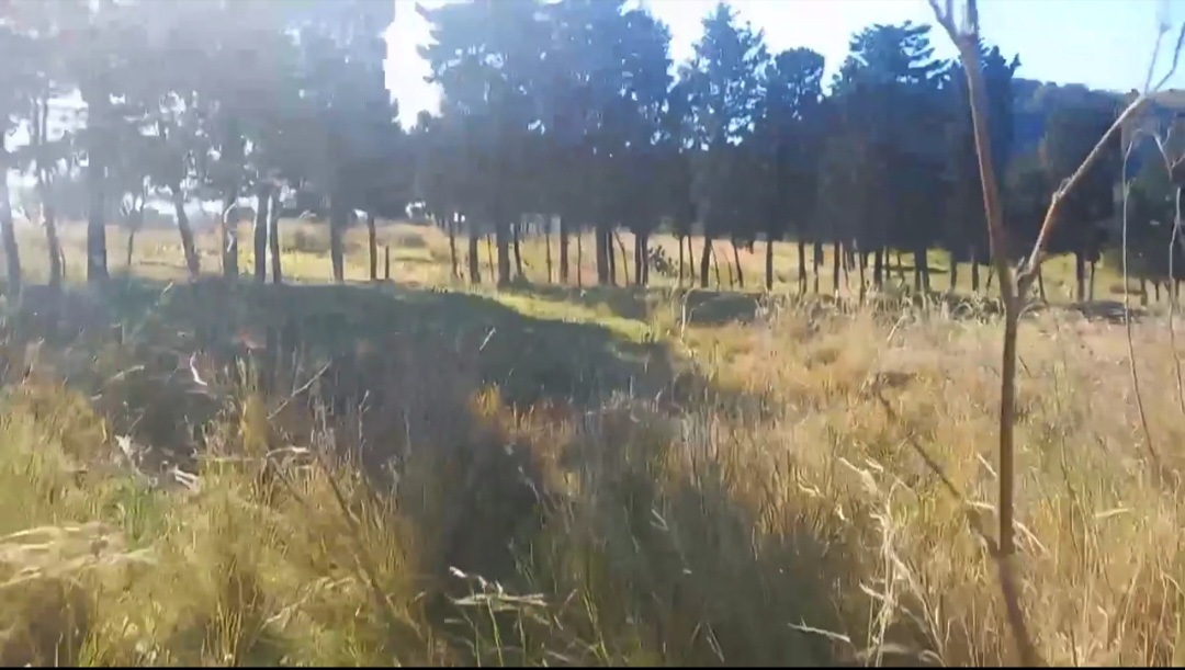 Frazione dell’umido a Mili, gli abitanti fanno muro: “Saremo invasi dai rifiuti” – FOTO