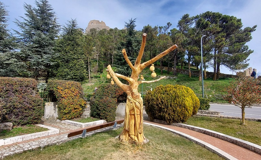 Alberi da abbattere trasformati in opere d’arte, “nuova vita” per un cipresso e un abete