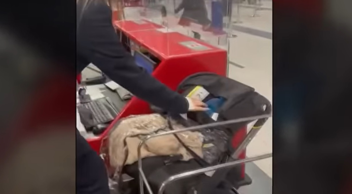 Neonato abbandonato dai genitori al check-in dell’aeroporto, il Video