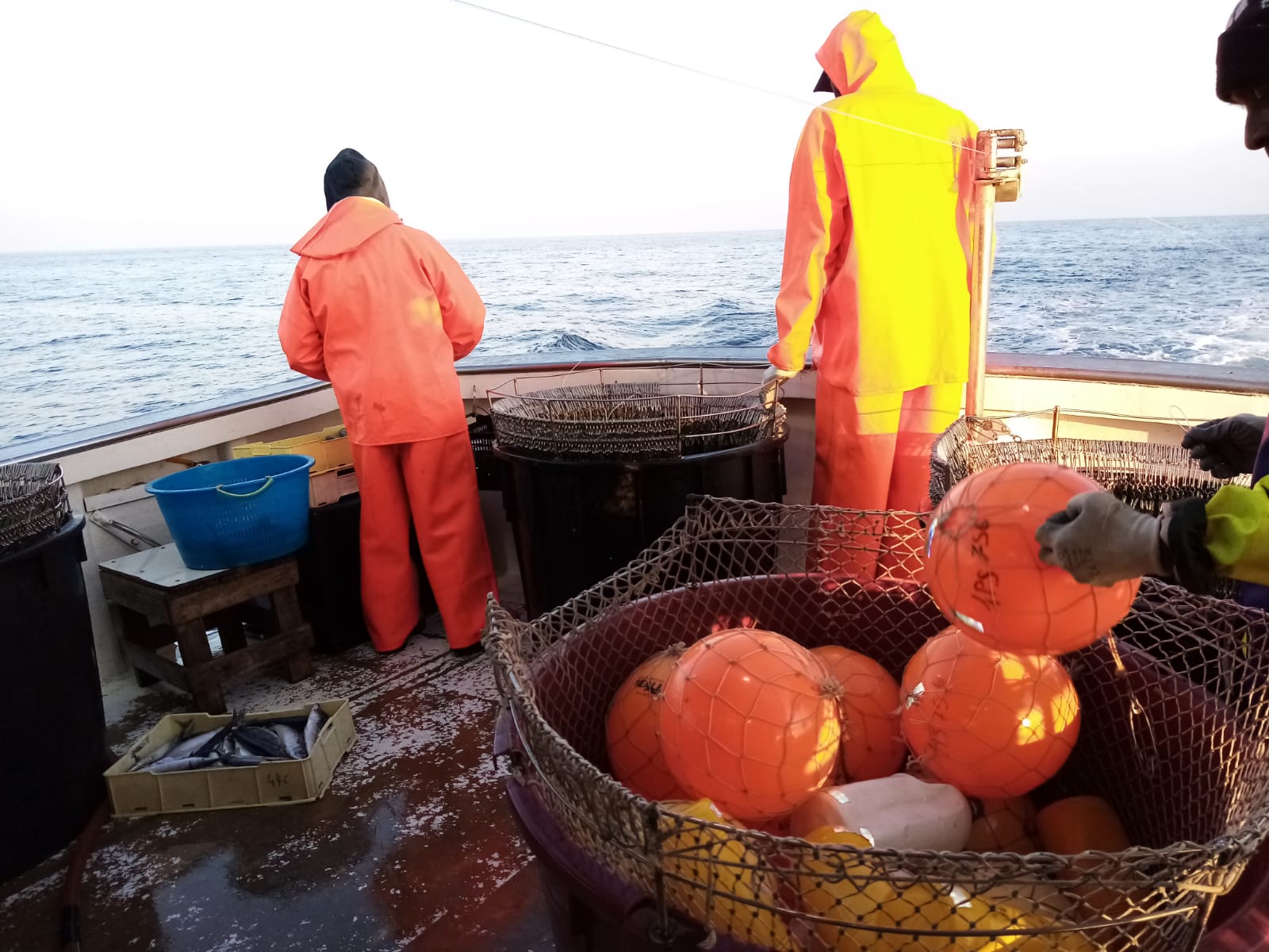 Pesca del tonno a Marsala, il piano di rilancio del “Sistema Palangaro”: più regole e competenze