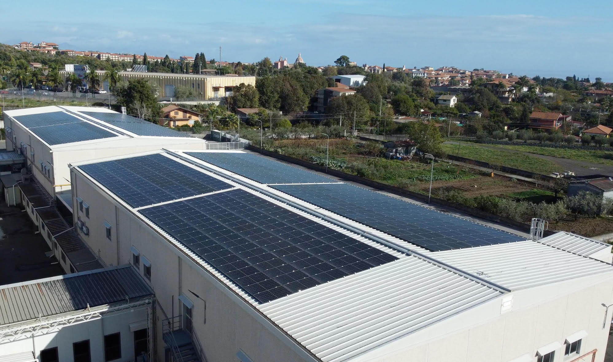 Produrre cibo in modo sostenibile: il caso della Pasticceria Tomarchio