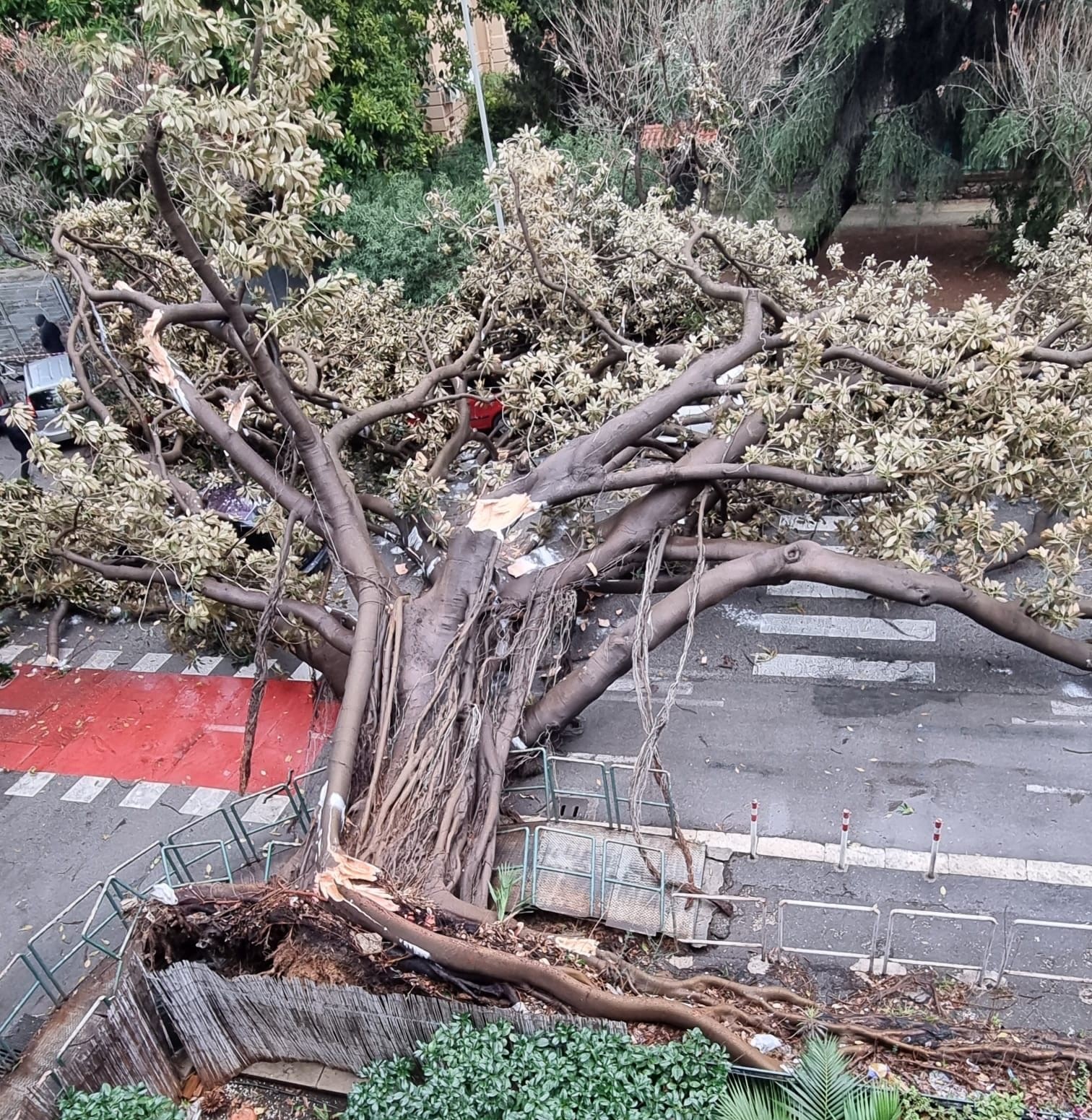 Sicilia travolta dal maltempo: neve, nubifragi, forte vento, scuole chiuse e voli cancellati