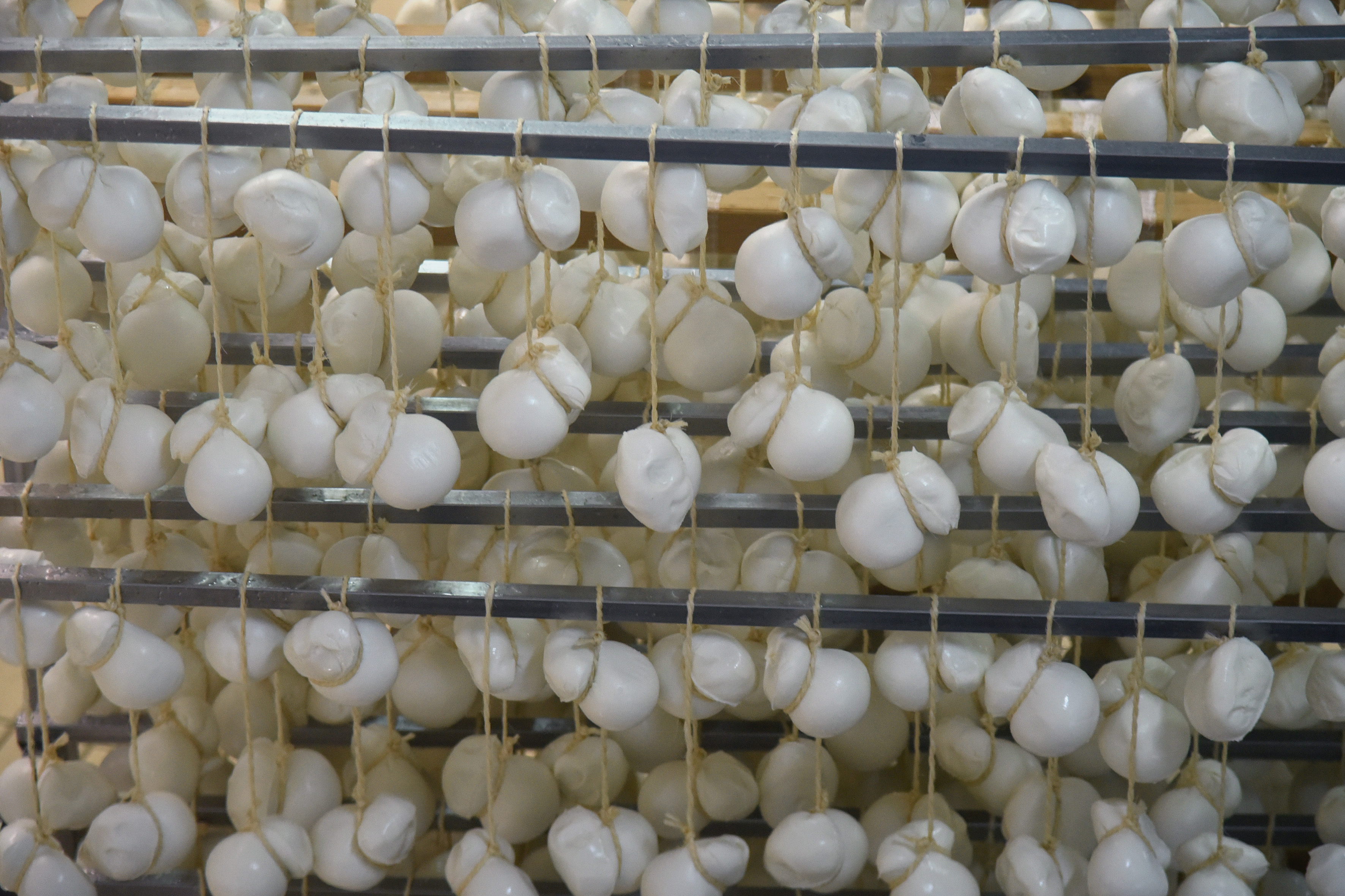 Catania, caseificio abusivo: sequestrati 1.500 chili di formaggi