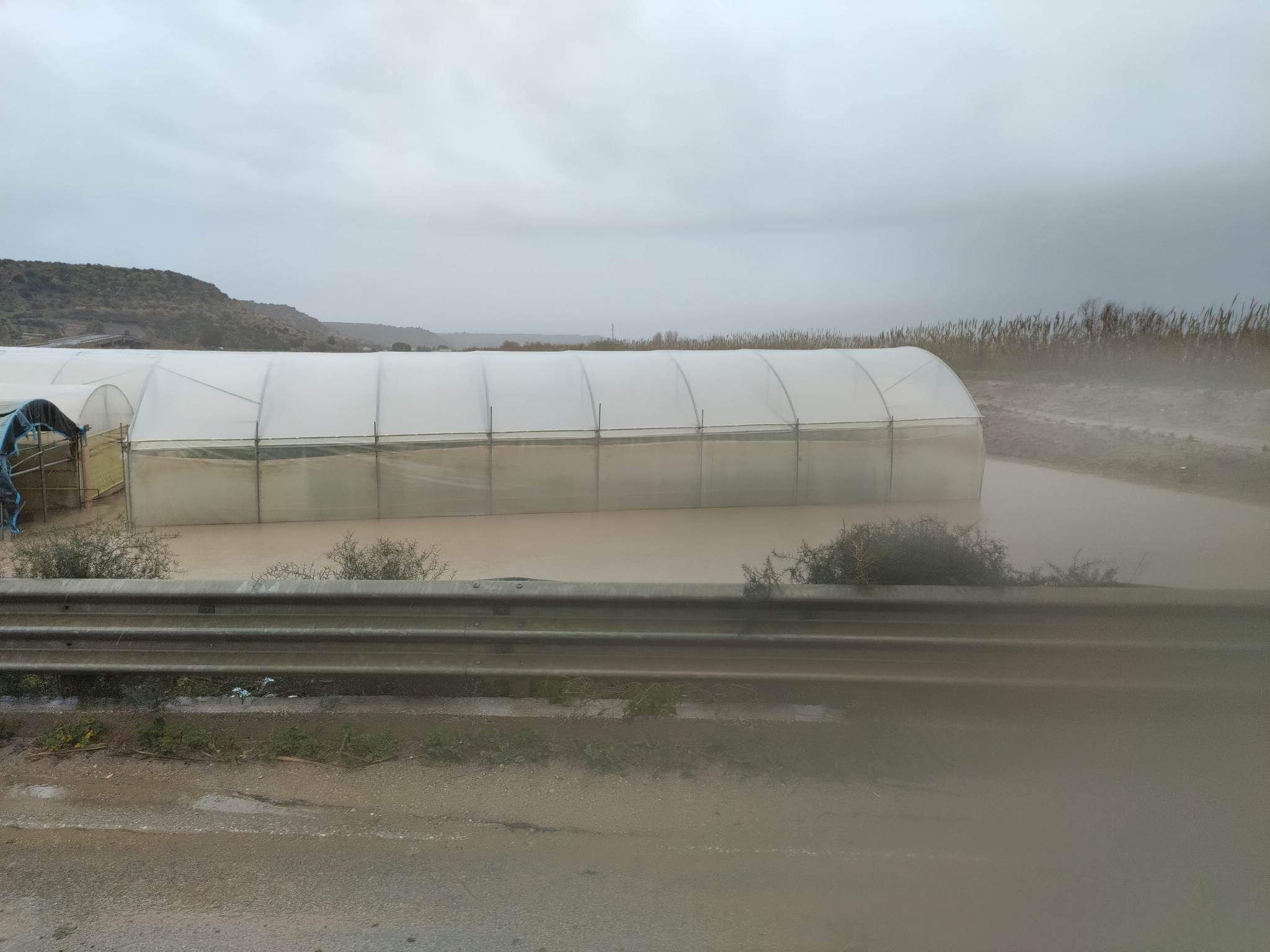La furia del maltempo in Sicilia, nelle campagne devastazione e rabbia: “Agricoltura dimenticata” La furia del maltempo in Sicilia, nelle campagne devastazione e rabbia: “Agricoltura dimenticata”