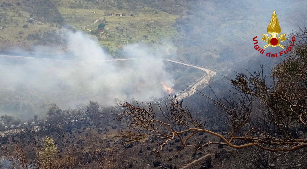 Incendi di vegetazione e sterpaglie nel Palermitano, decine di interventi dei vigili del fuoco Incendi di vegetazione e sterpaglie nel Palermitano, decine di interventi dei vigili del fuoco
