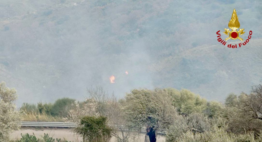 Incendi di vegetazione e sterpaglie nel Palermitano, decine di interventi dei vigili del fuoco Incendi di vegetazione e sterpaglie nel Palermitano, decine di interventi dei vigili del fuoco