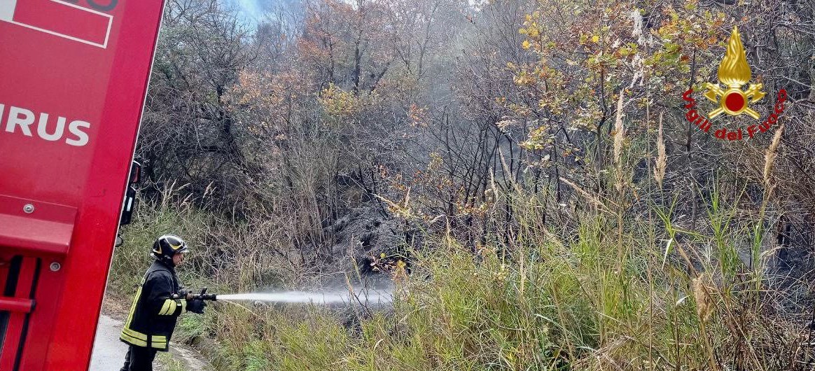 Incendi di vegetazione e sterpaglie nel Palermitano, decine di interventi dei vigili del fuoco Incendi di vegetazione e sterpaglie nel Palermitano, decine di interventi dei vigili del fuoco